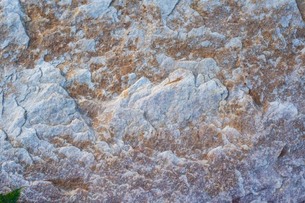 High-resolution image of a natural stone surface showcasing intricate texture and earthy tones. Abstrait 4K