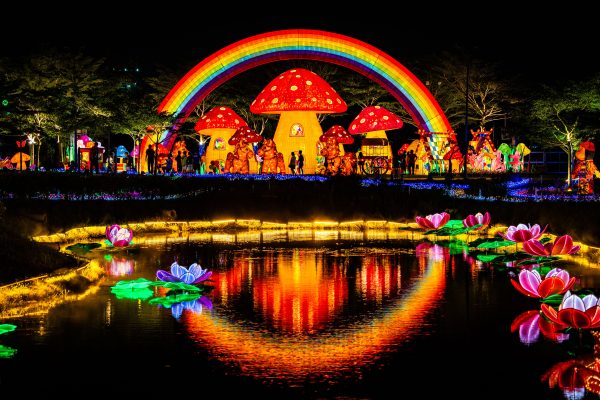 Illuminated mushroom houses and rainbow lights reflecting in a pond at night. Geek 4K