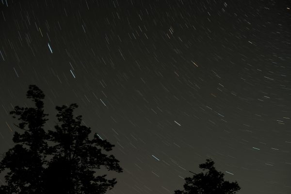 Long exposure of star trails creating arcs in the night sky over silhouetted trees. Espace 4K
