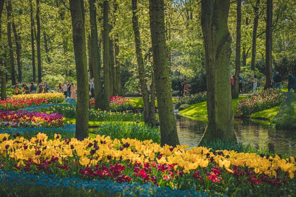 Lush garden with colorful flowers, trees, and a serene pond on a sunny spring day. Abstrait 4K