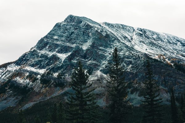 Majestic snow-capped mountain with pine trees in foreground, ideal for nature enthusiasts. Nature 4K