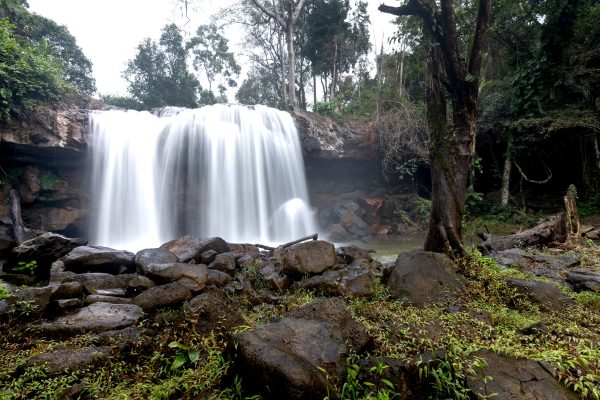 Majestic waterfall cascading in a lush forest setting, offering a tranquil and scenic view of nature's beauty. Nature 4K