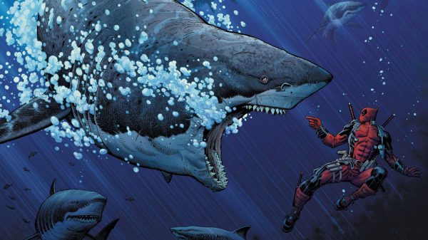 Marvel Comics, shark, animals Geek 4K