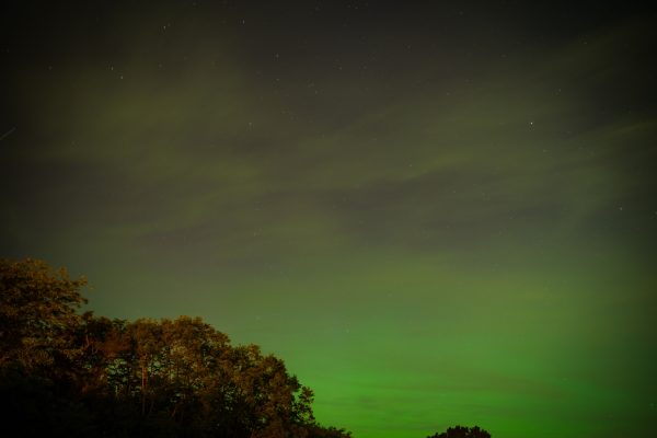 Mesmerizing view of the aurora borealis illuminating the night sky above a silhouette of trees. Espace 4K