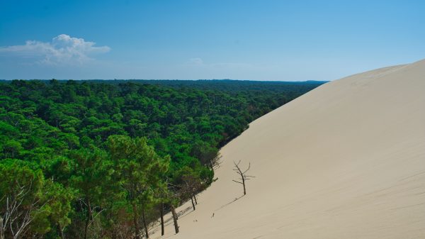Nature, landscape, desert Geek 4K