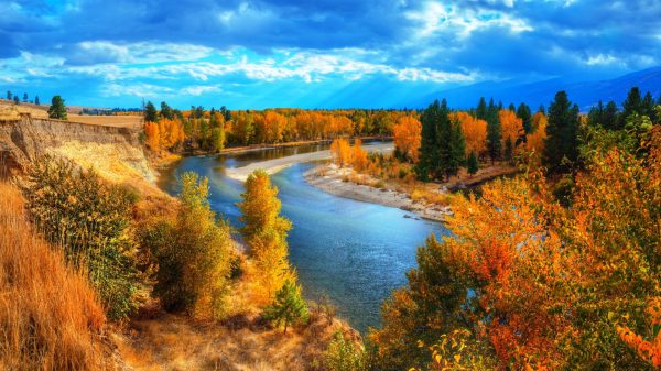 Nature, landscape, river Anime 4K