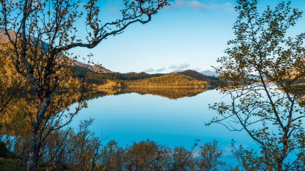 Peaceful autumn landscape of Lofoten with clear reflection on a calm lake. Nature 4K