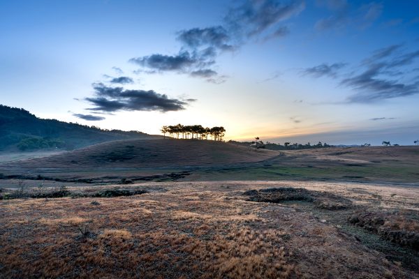 Peaceful dawn over rolling hills with trees silhouetted against the sky. Nature 4K