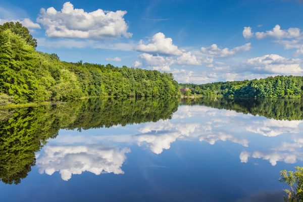 Peaceful lake with forest reflection and blue sky in Southborough, MA. Nature 4K