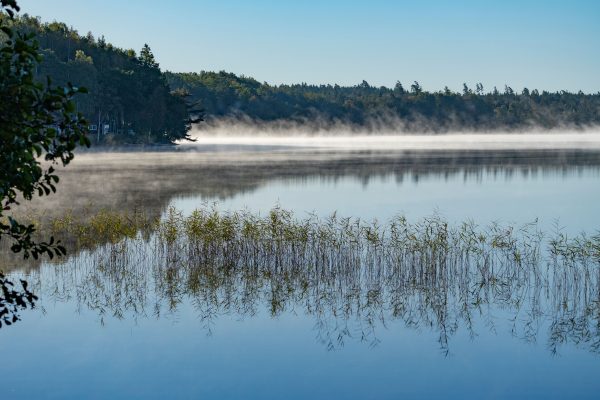 Peaceful morning view of a misty lake with reflections and serene surroundings. Nature 4K