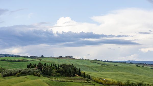 Peaceful panoramic view of green rolling hills and cypress trees in Pienza, Tuscany, under a cloudy sky. Nature 4K
