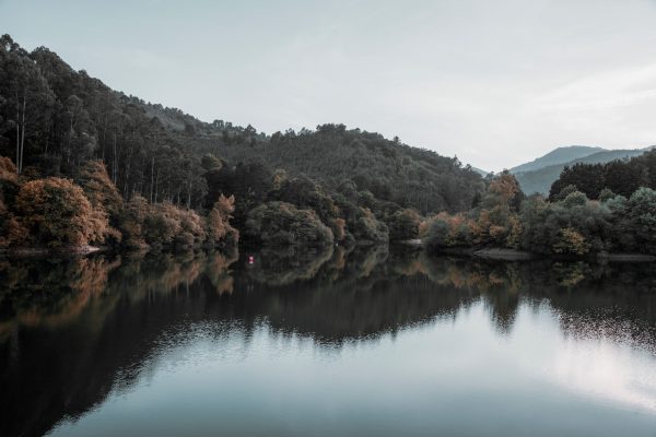 Peaceful reflection of trees and mountains on a serene lake in El Regato, Spain. Nature 4K