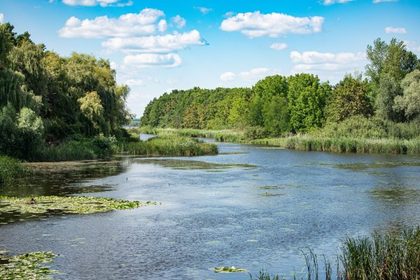Peaceful river landscape with lush greenery and clear blue sky at Balatonmagyaród, Hungary. Nature 4K