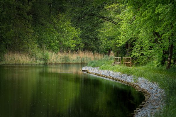 Peaceful river scene with lush trees and a quiet path ideal for nature relaxation. Nature 4K