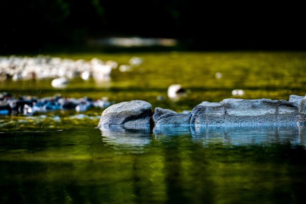Peaceful river scene with moss-covered rocks and tranquil water reflecting greenery. Nature 4K