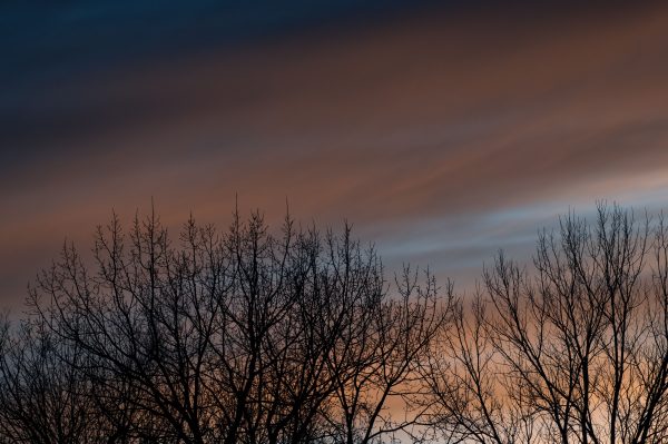 Peaceful winter twilight sky with silhouetted bare trees and gentle color gradient. Dark 4K