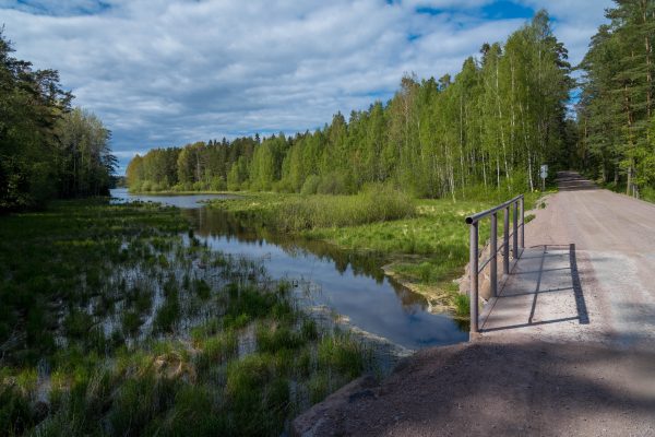 Picturesque forest path and footbridge over a tranquil river in Karelia, Russia. Nature 4K