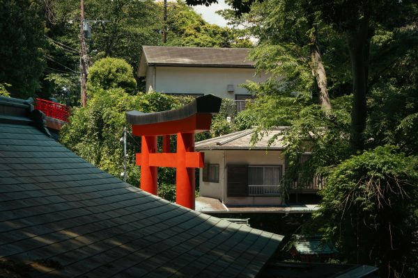 Red Torii gate surrounded by greenery in Fujisawa, Kanagawa, Japan. Anime 4K