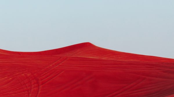 Red, white, nature Geek 4K