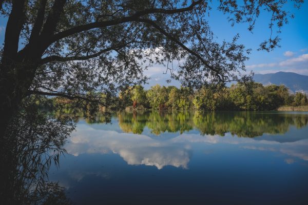 Scenic summer landscape of calm lake reflecting blue cloudy sky and trees with vivid green foliage Nature 4K