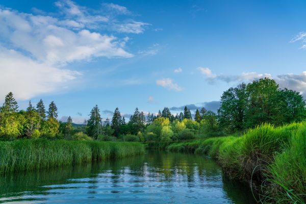 Scenic view of a river surrounded by lush greenery under a vibrant blue sky. Nature 4K