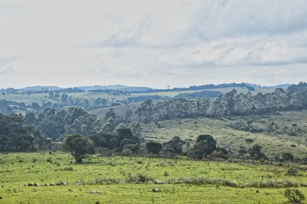Scenic view of lush green fields and rolling hills under a cloudy sky, capturing nature's tranquility. Nature 4K