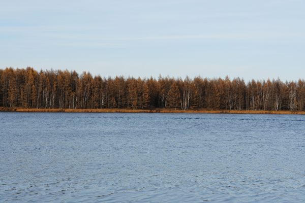Serene lake with a backdrop of autumnal trees, exuding calm and tranquility. Nature 4K