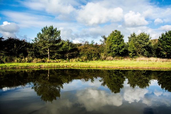Serene landscape with trees reflecting in a calm lake under a blue sky with clouds. Nature 4K