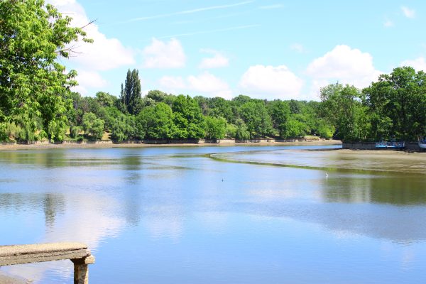 Serene view of Herăstrău Park lake in Bucharest, perfect for nature lovers. Nature 4K