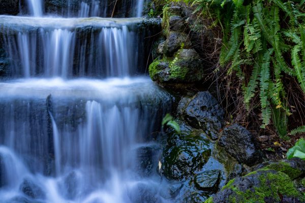 Serene waterfall cascading over mossy rocks surrounded by vibrant ferns in a tranquil forest setting. Nature 4K