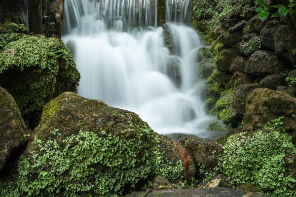 Serene waterfall cascading over rocks covered with lush green moss in a forest setting. Nature 4K