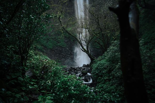 Serene waterfall cascading through dense green forest in India. Nature 4K