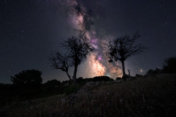 Spectacular night view of the Milky Way illuminating silhouetted trees in a remote landscape. Espace 4K