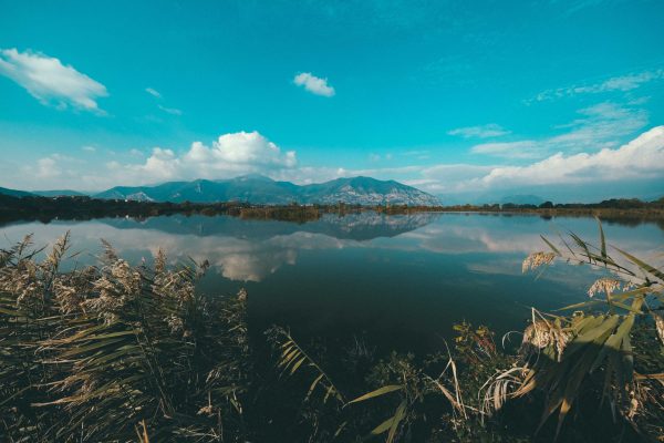Spectacular scenery of calm lake reflecting blue cloudy sky and mountains with green bushes on shore Nature 4K