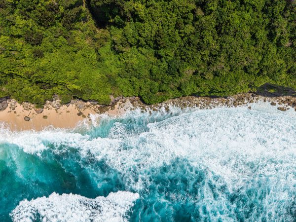 Stunning aerial view of Bali's coastline, vibrant ocean and lush greenery. Nature 4K
