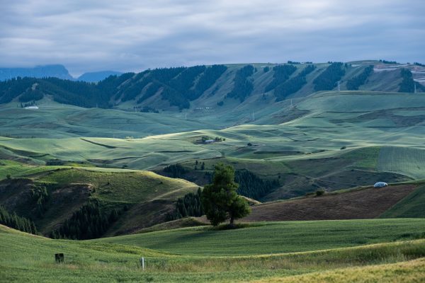 Stunning green landscapes of Xinjiang with hills and valleys under a cloudy sky. Nature 4K