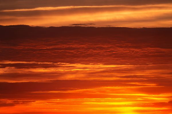 Stunning sunrise with vibrant orange hues in Stamford, Connecticut, USA. Nature 4K
