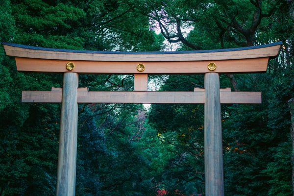 Stunning view of a traditional Torii gate set against lush greenery in Shibuya, Tokyo. Anime 4K
