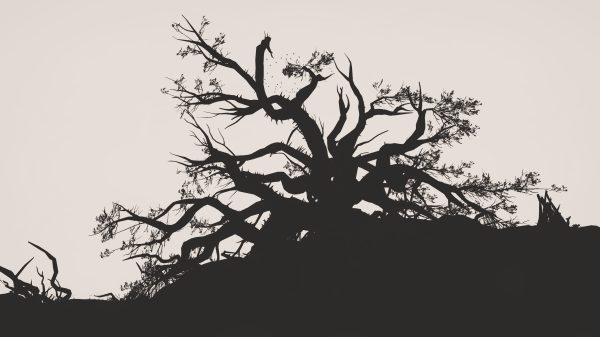 The Witcher 3: Wild Hunt, The Witcher, monochrome Gaming 4K