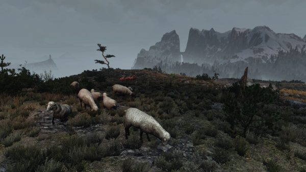 The Witcher, The Witcher 3: Wild Hunt, Skellige Video Games 4K