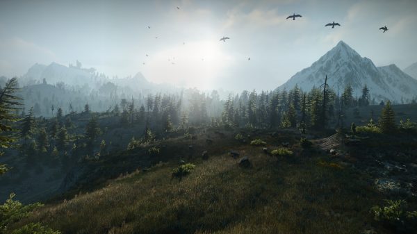The Witcher, The Witcher 3: Wild Hunt, Skellige Video Games 4K