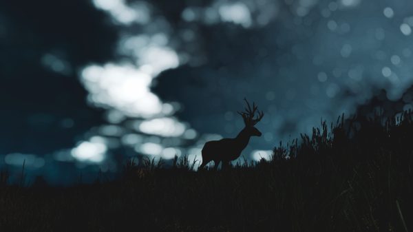 The Witcher, The Witcher 3: Wild Hunt, deer Video Games 4K