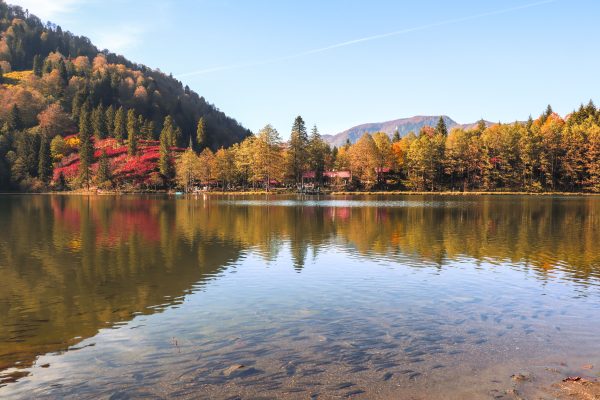 Tranquil lake amidst vibrant autumnal forest in Artvin, Türkiye. Reflective natural beauty. Nature 4K