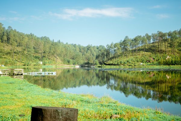 Tranquil landscape of a serene lake in Valle de Bravo with reflections and greenery Nature 4K
