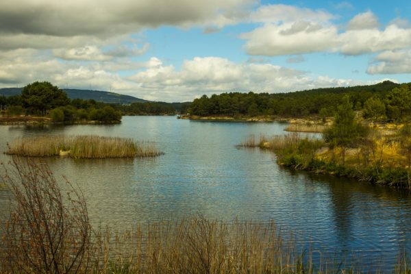 Tranquil river scene surrounded by lush greenery under a cloudy sky in Portugal. Nature 4K