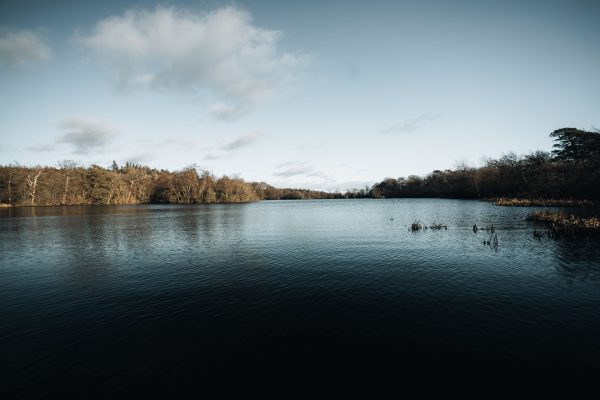 Tranquil view of an autumn lake surrounded by a forest under a clear sky, ideal for nature and travel themes. Nature 4K