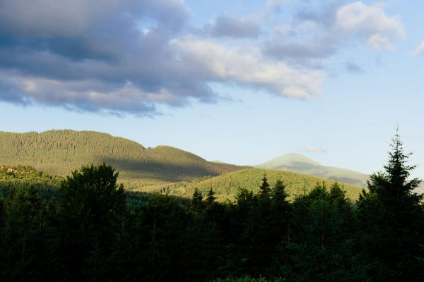 Tranquil view of lush Carpathian Mountains under a dramatic sky in summer, Ukraine. Nature 4K
