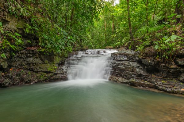 Tranquil waterfall cascading in lush Costa Rican rainforest, surrounded by vibrant foliage. Nature 4K