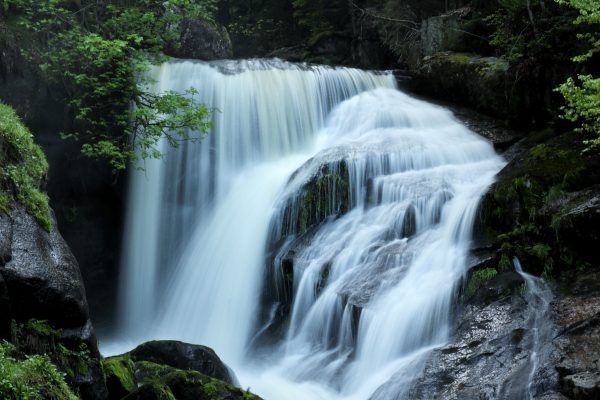 Tranquil waterfall flowing through a lush green forest, creating a peaceful scenery. Nature 4K