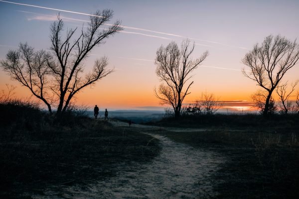 Two people walking along a rural path at sunset with bare trees silhouetted. Nature 4K
